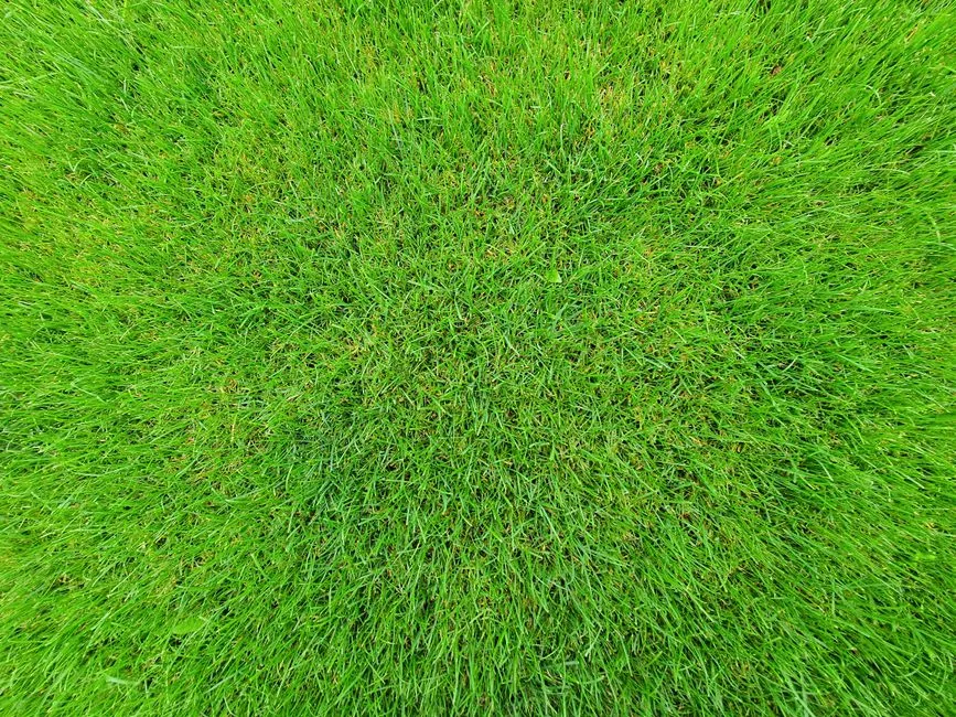 Bordure paysagère